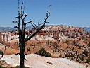 Bryce Canyon 14